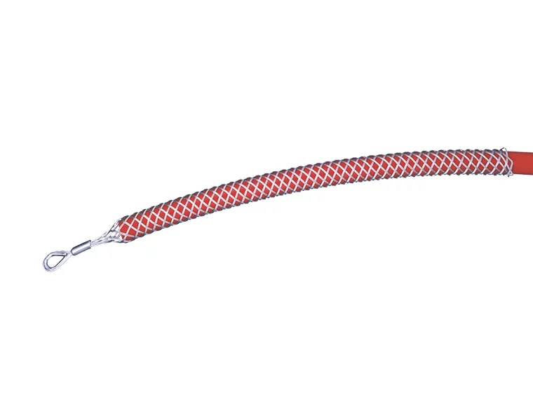 CGS-T